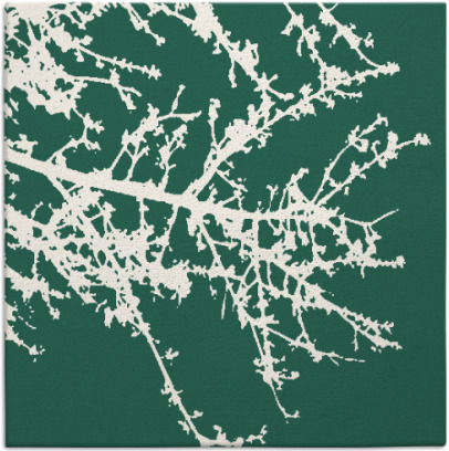 spruce rug - item 493037