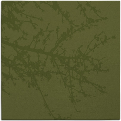 spruce rug - item 493041