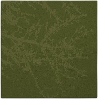 spruce rug - item 493042