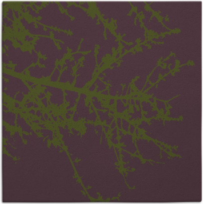 spruce rug - item 493043