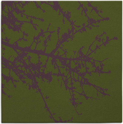 spruce rug - item 493044