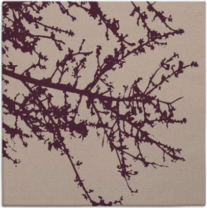 spruce rug - item 493061