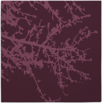 spruce rug - item 493064