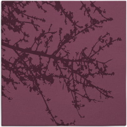 spruce rug - item 493067