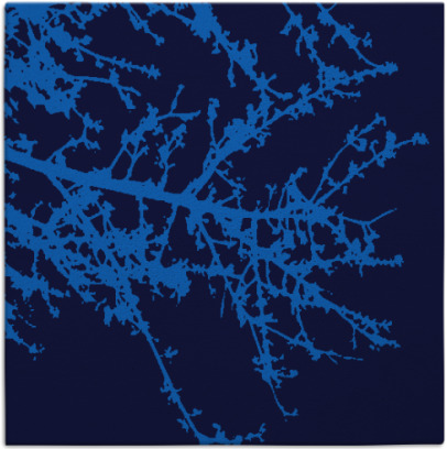 spruce rug - item 493074