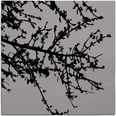 spruce rug - item 493077