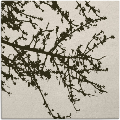 spruce rug - item 493081