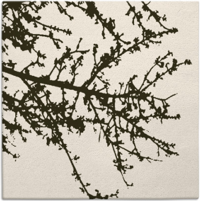 spruce rug - item 493083