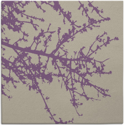 spruce rug - item 493085