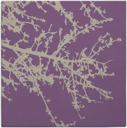 spruce rug - item 493086