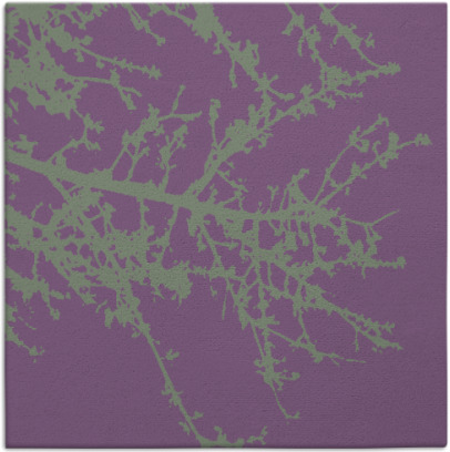 spruce rug - item 493088