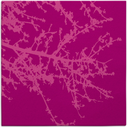 spruce rug - item 493113