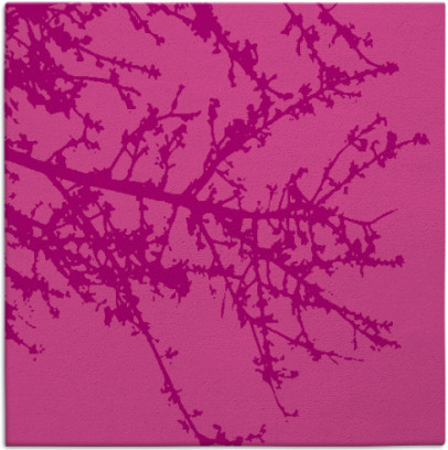 spruce rug - item 493114