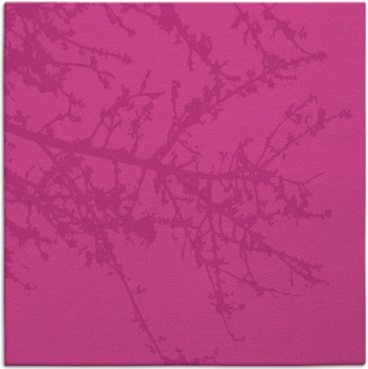 spruce rug - item 493116