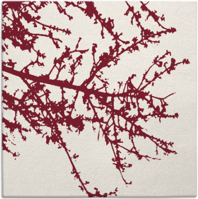 spruce rug - item 493118