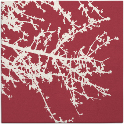 spruce rug - item 493119