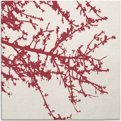 spruce rug - item 493120