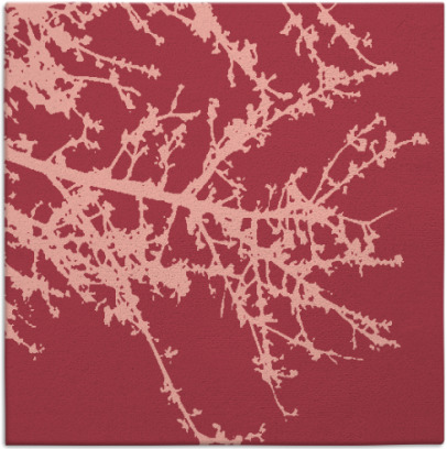 spruce rug - item 493121