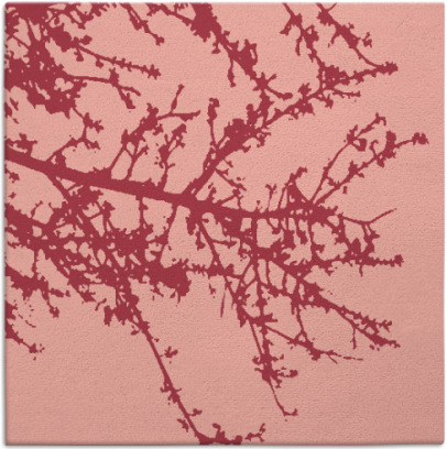 spruce rug - item 493122