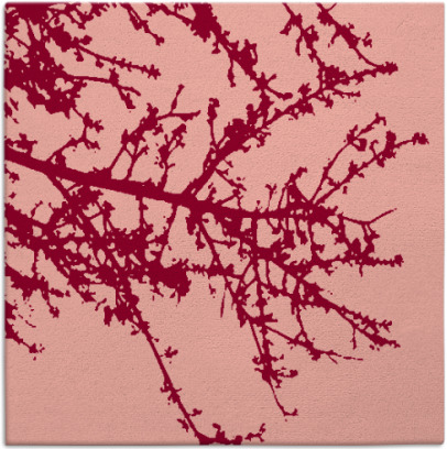 spruce rug - item 493124