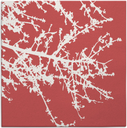 spruce rug - item 493127