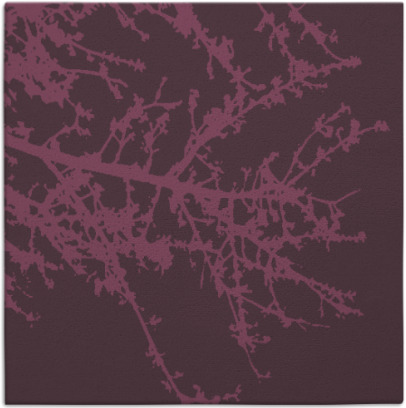 spruce rug - item 493129