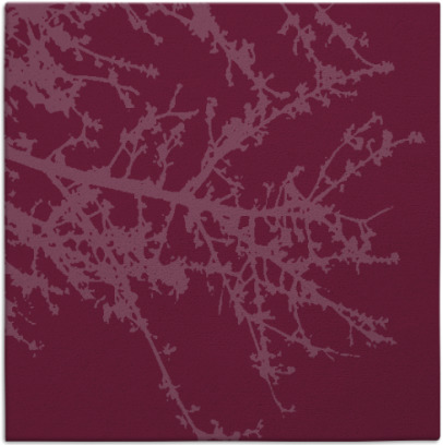 spruce rug - item 493131