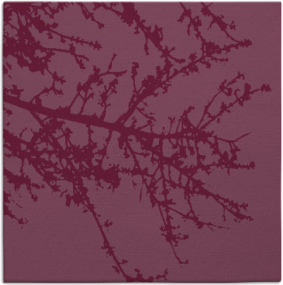 spruce rug - item 493132