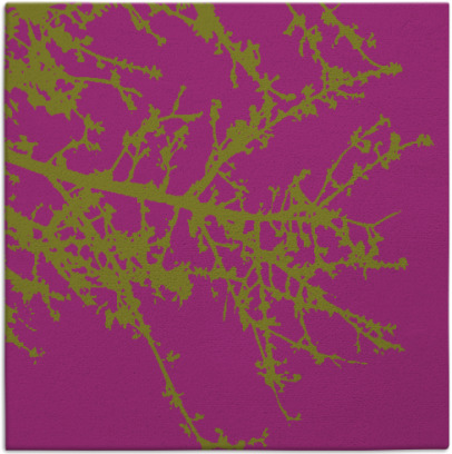 spruce rug - item 493135