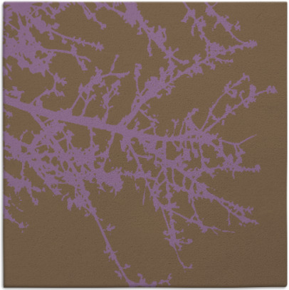 spruce rug - item 493140