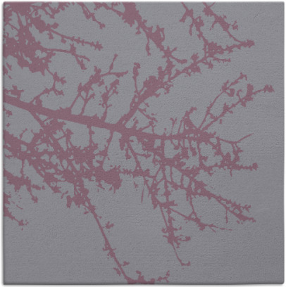 spruce rug - item 493144