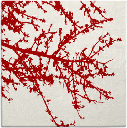 spruce rug - item 493146