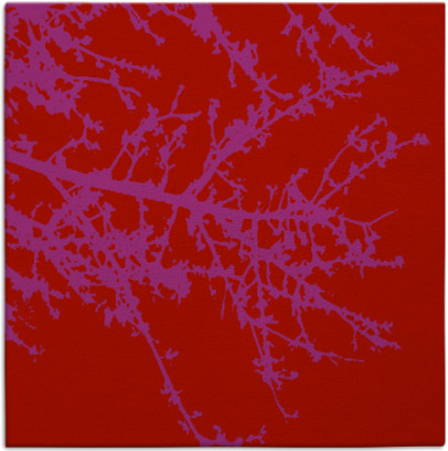 spruce rug - item 493157