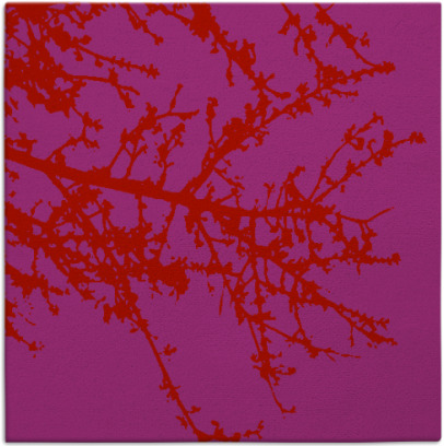 spruce rug - item 493158