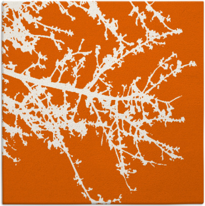 spruce rug - item 493174