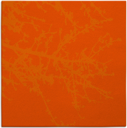 spruce rug - item 493175