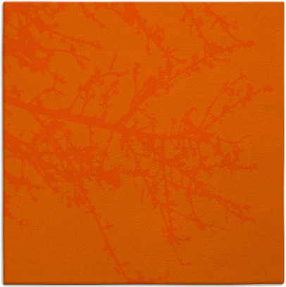 spruce rug - item 493176