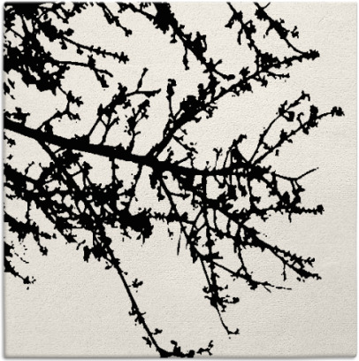 spruce rug - item 493177