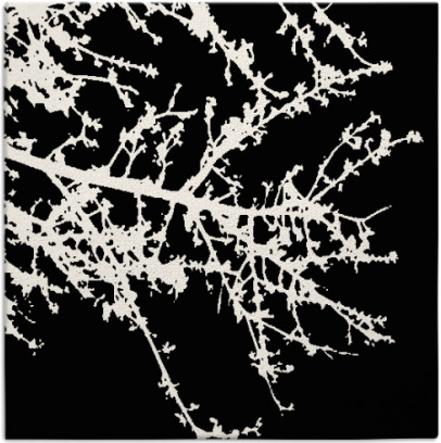 spruce rug - item 493178