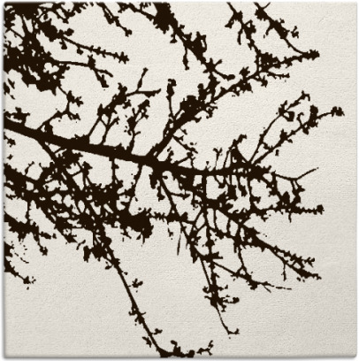 spruce rug - item 493201