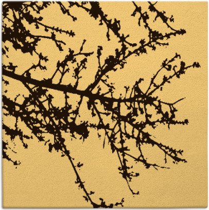 spruce rug - item 493203