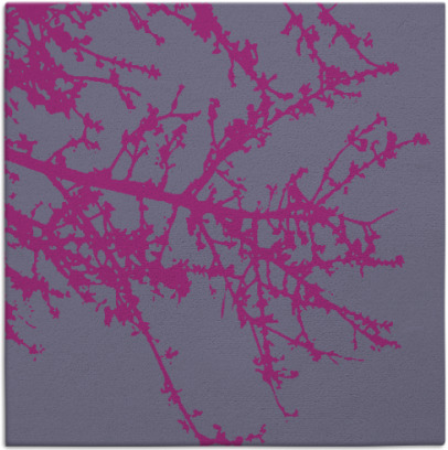 spruce rug - item 493218