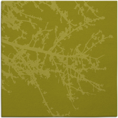 spruce rug - item 493227