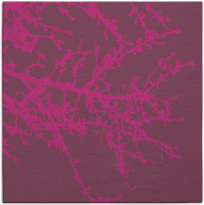spruce rug - item 493235