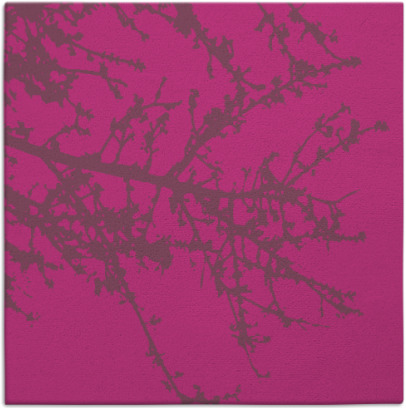 spruce rug - item 493236