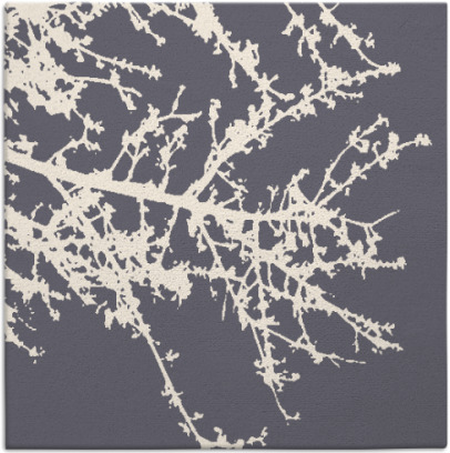 spruce rug - item 493255