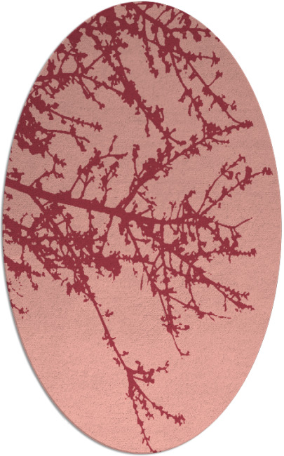 spruce rug - item 493474