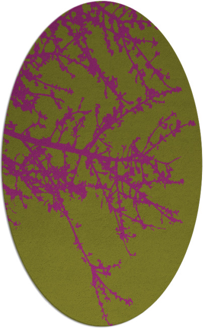 spruce rug - item 493488