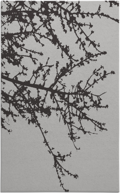 spruce rug - item 493653