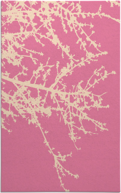 spruce rug - item 493658